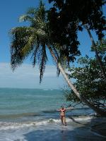 9751 Cahuita 